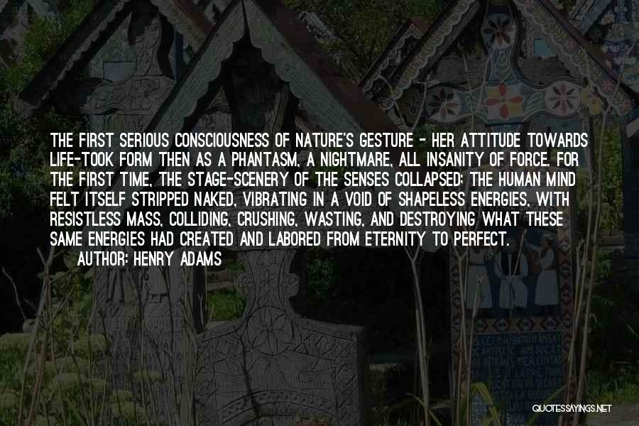 Henry Adams Quotes 1271051