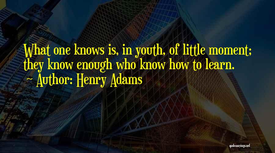 Henry Adams Quotes 1479242