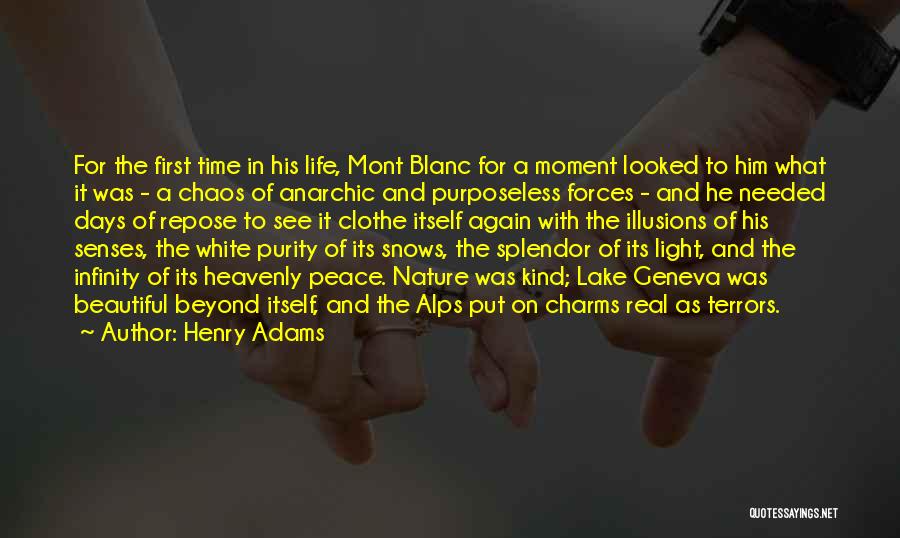 Henry Adams Quotes 1491108