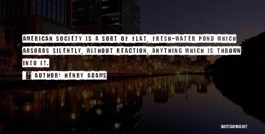 Henry Adams Quotes 1923047