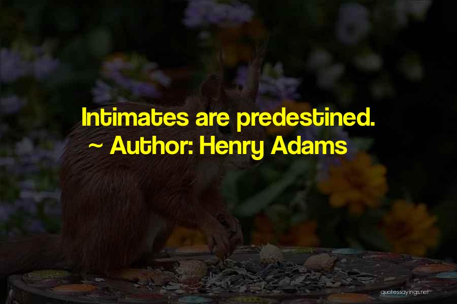 Henry Adams Quotes 2176108