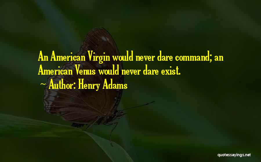 Henry Adams Quotes 434958