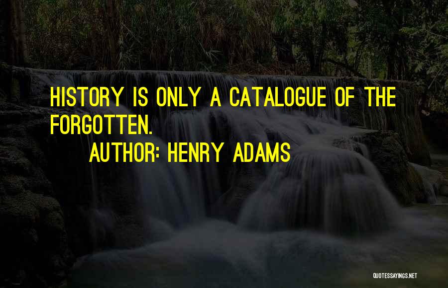 Henry Adams Quotes 454650