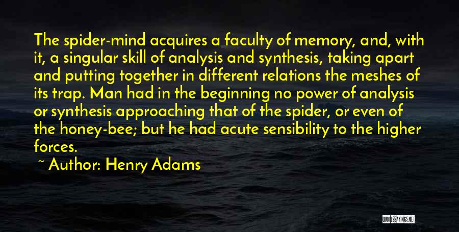 Henry Adams Quotes 858540