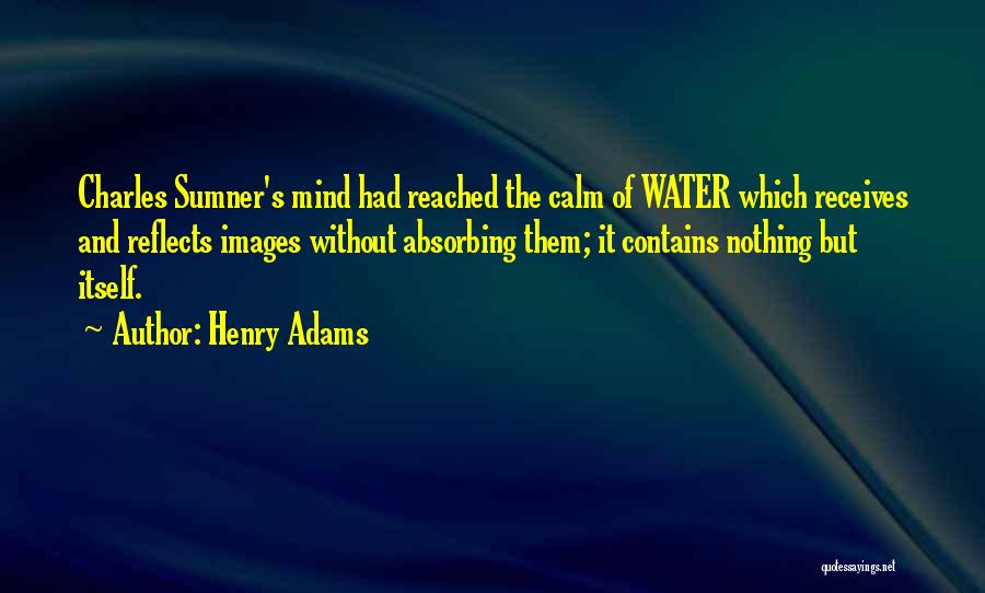 Henry Adams Quotes 947296