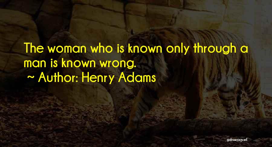 Henry Adams Quotes 958024