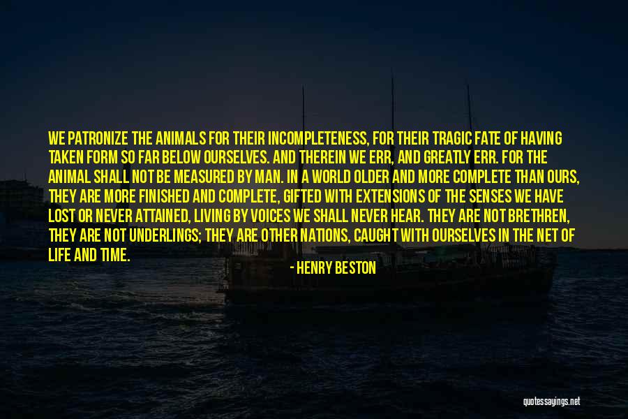 Henry Beston Quotes 380479