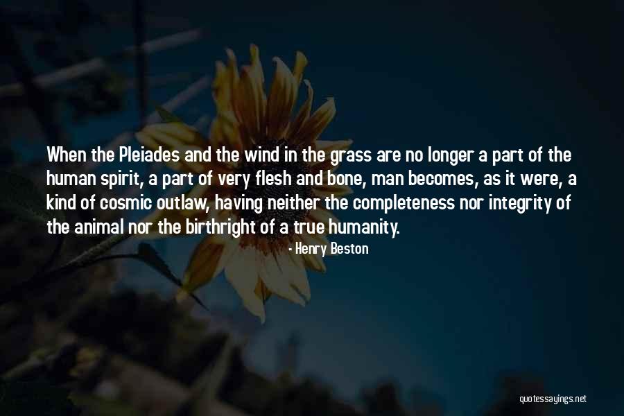 Henry Beston Quotes 440332