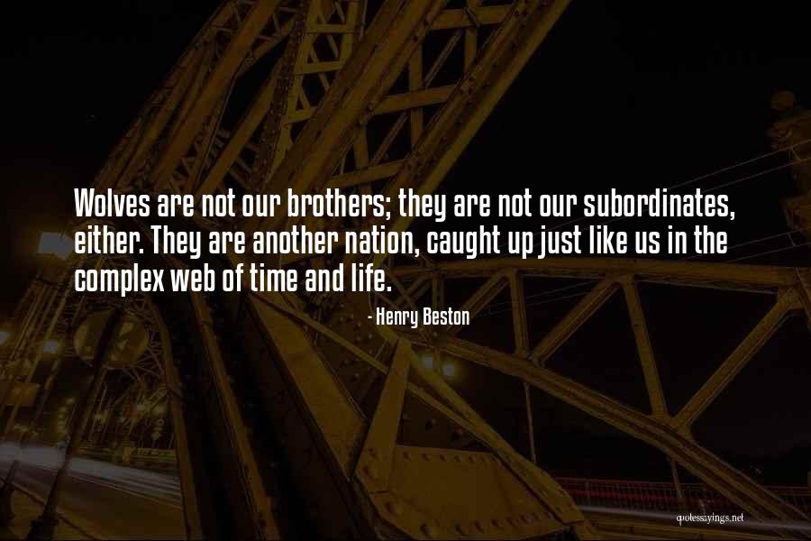 Henry Beston Quotes 936848