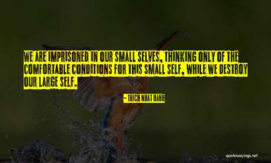 Henry Blaha Quotes By Thich Nhat Hanh Henry Blaha Quotes By Thich Nhat Hanh