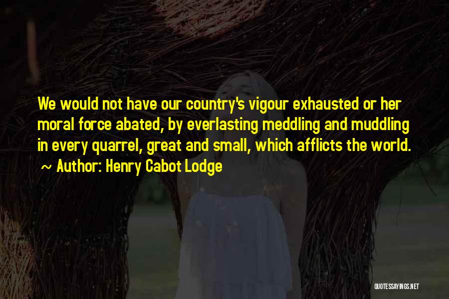 Henry Cabot Lodge Quotes 1056656