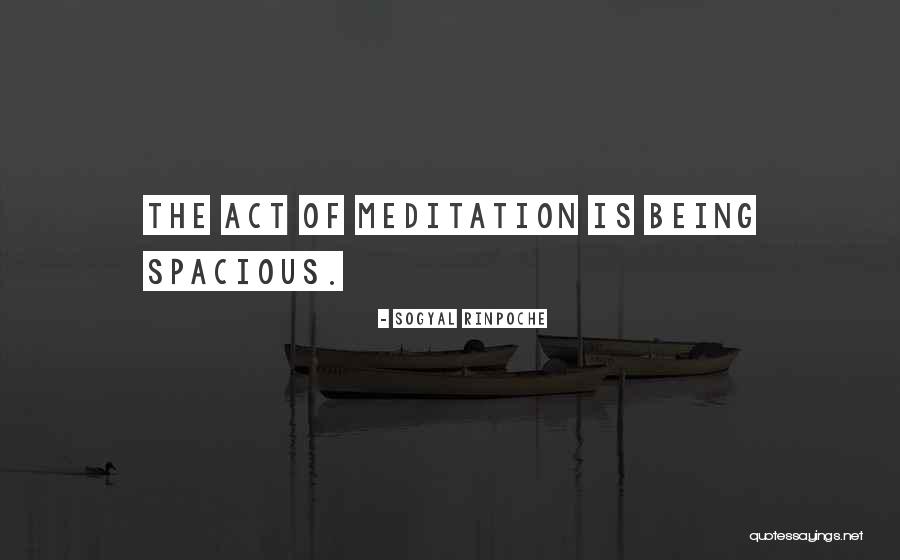 Henry Cloud And John Townsend Quotes By Sogyal Rinpoche Henry Cloud And John Townsend Quotes By Sogyal Rinpoche