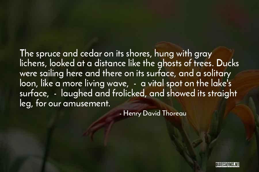 Henry David Thoreau Quotes 1497161 Henry David Thoreau Quotes 1497161