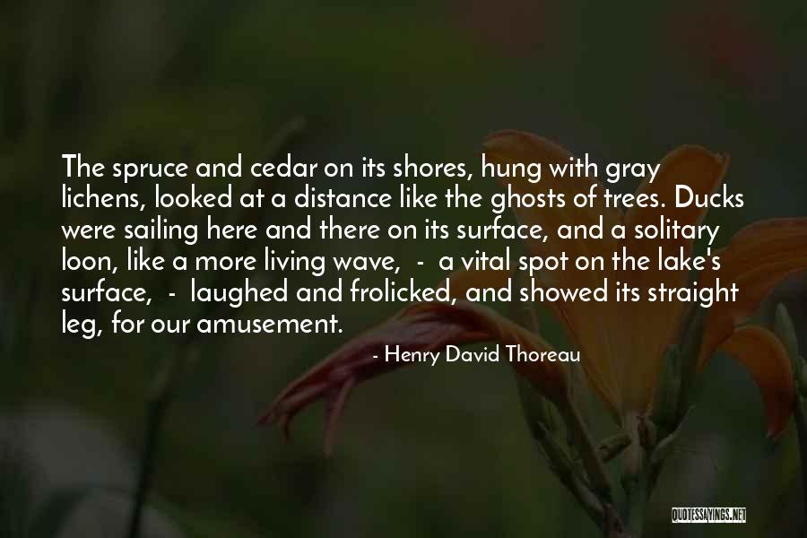 Henry David Thoreau Quotes 1497161