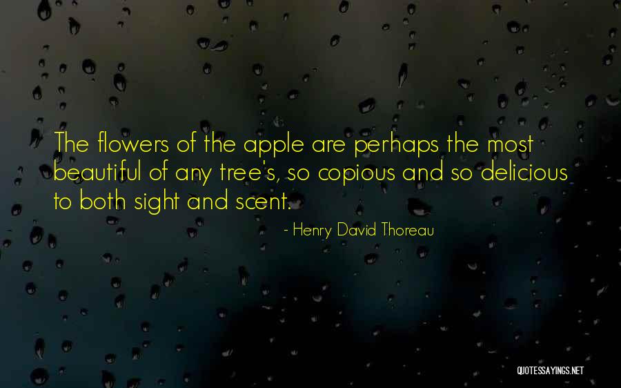 Henry David Thoreau Quotes 1968430