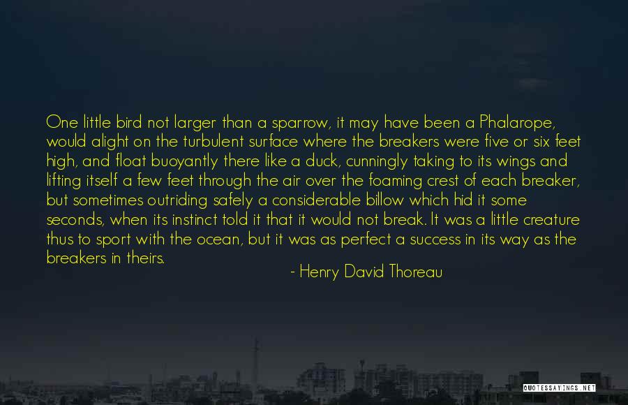 Henry David Through Quotes By Henry David Thoreau Henry David Through Quotes By Henry David Thoreau