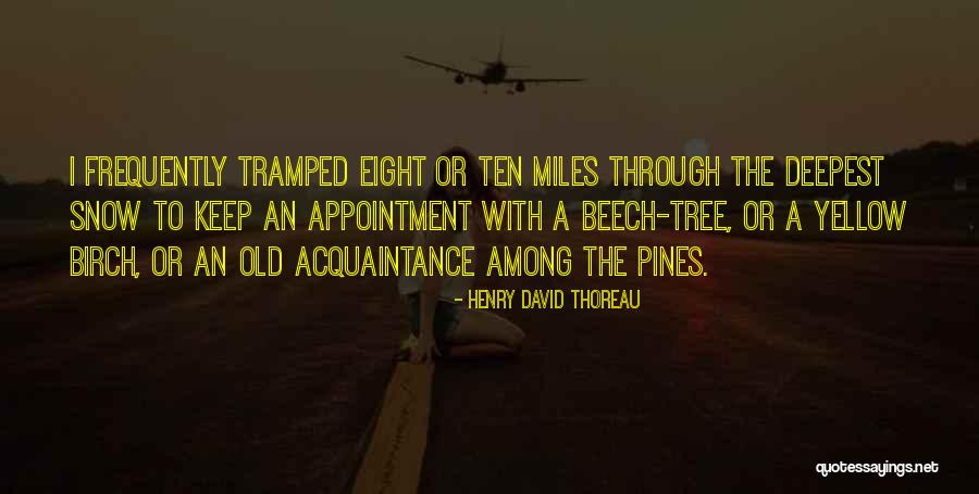 Henry David Through Quotes By Henry David Thoreau Henry David Through Quotes By Henry David Thoreau