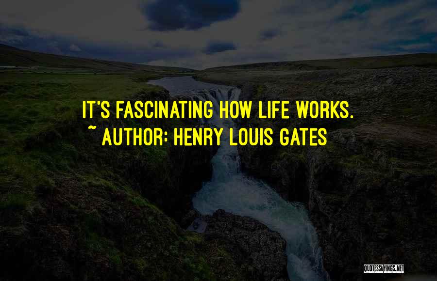 Henry Louis Gates Quotes 1515301