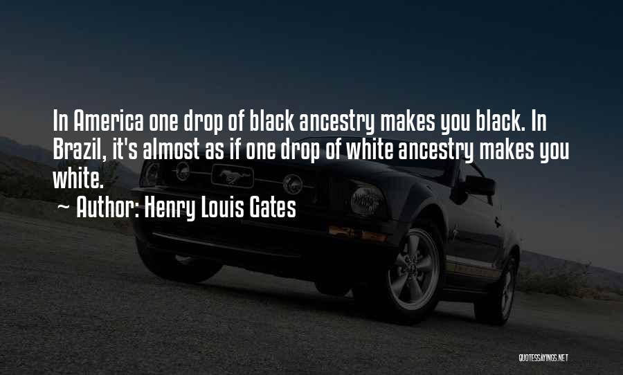 Henry Louis Gates Quotes 1830920