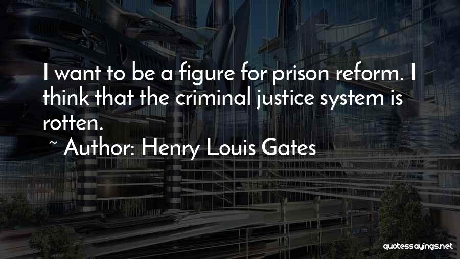Henry Louis Gates Quotes 2197038