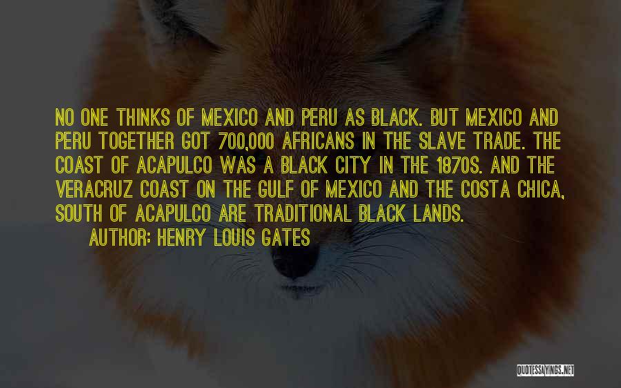 Henry Louis Gates Quotes 399473