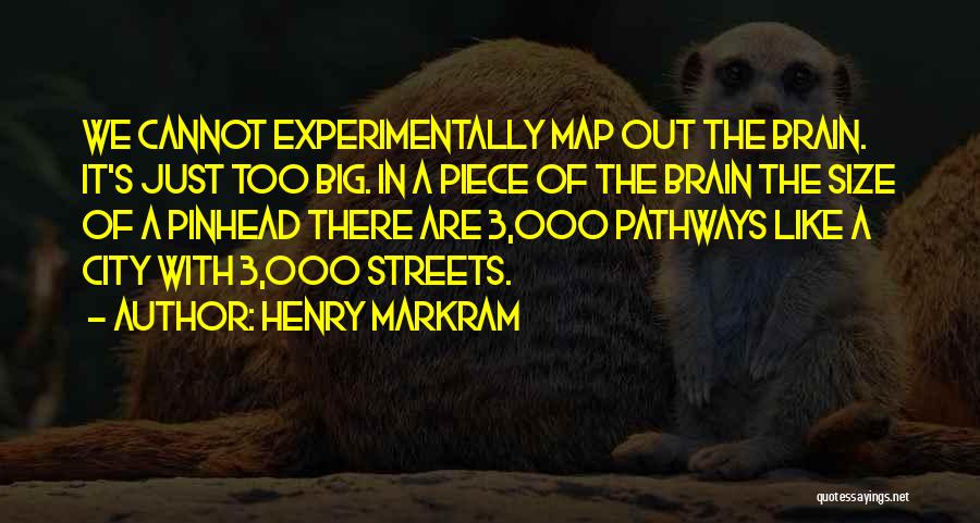 Henry Markram Quotes 322151