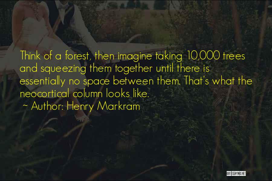 Henry Markram Quotes 905613