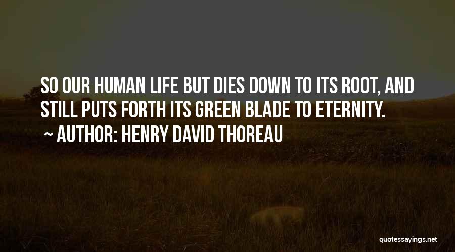 Henry Root Quotes By Henry David Thoreau