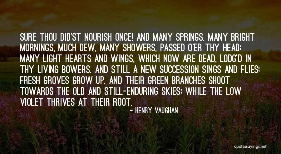 Henry Root Quotes By Henry Vaughan