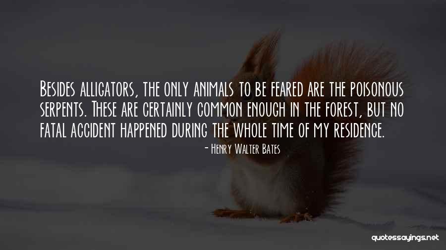 Henry Walter Bates Quotes 1282650 Henry Walter Bates Quotes 1282650