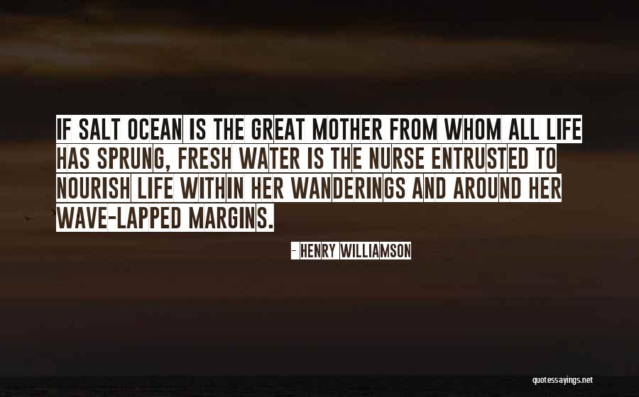Henry Williamson Quotes 502987 Henry Williamson Quotes 502987