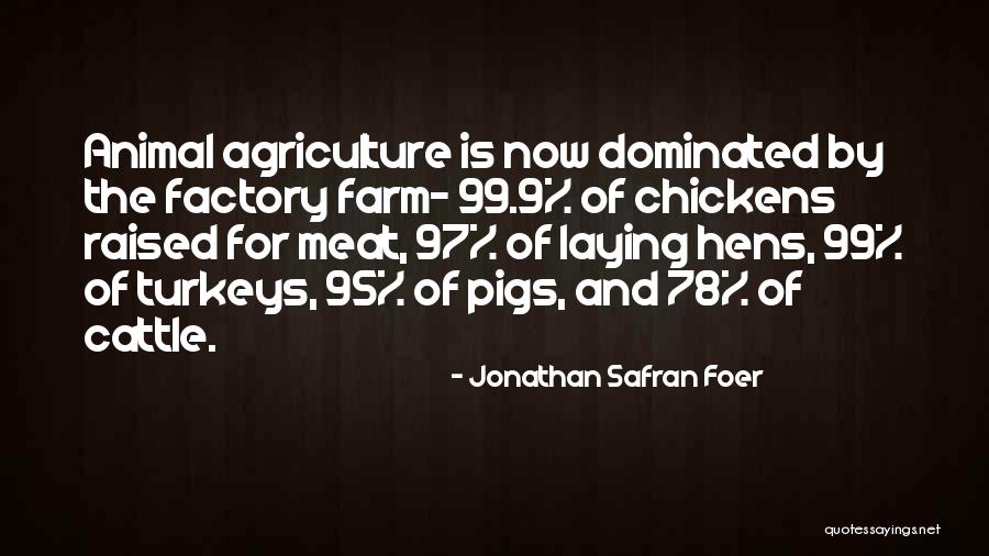 Hens Quotes By Jonathan Safran Foer Hens Quotes By Jonathan Safran Foer