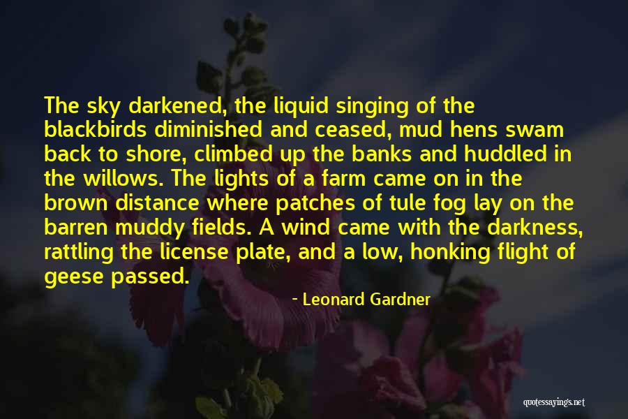 Hens Quotes By Leonard Gardner Hens Quotes By Leonard Gardner