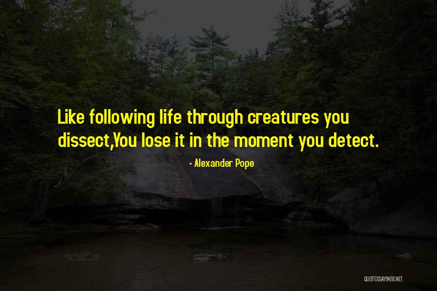 Henschen Torsion Quotes By Alexander Pope Henschen Torsion Quotes By Alexander Pope