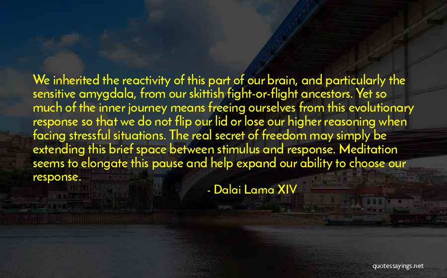 Henslee Park Quotes By Dalai Lama XIV Henslee Park Quotes By Dalai Lama XIV
