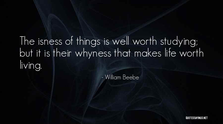 Hepburns Choice Quotes By William Beebe Hepburns Choice Quotes By William Beebe