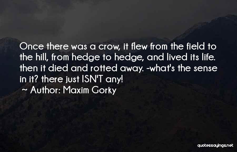 Hepker And Associates Quotes By Maxim Gorky