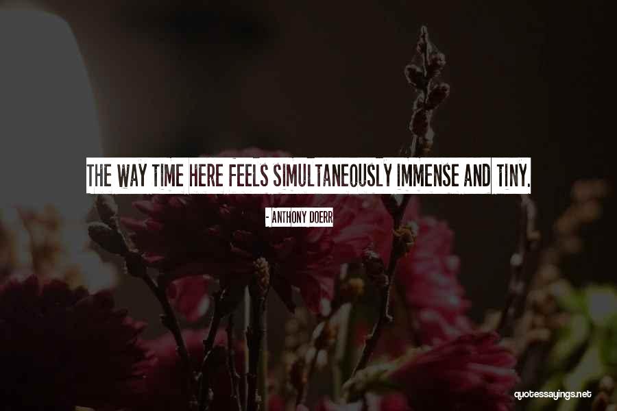 Hepperly Quotes By Anthony Doerr Hepperly Quotes By Anthony Doerr