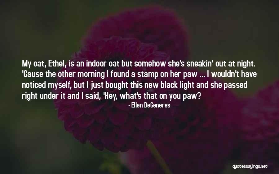 Hepsinialalim Quotes By Ellen DeGeneres Hepsinialalim Quotes By Ellen DeGeneres