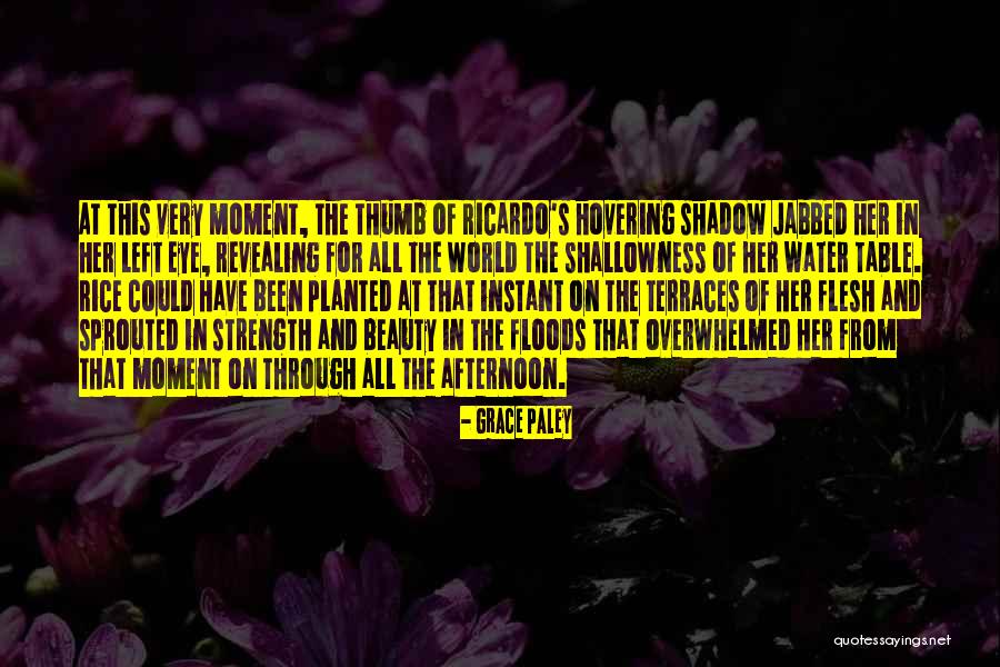 Her Beauty Quotes By Grace Paley Her Beauty Quotes By Grace Paley