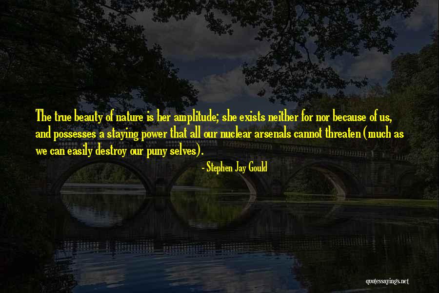 Her Beauty Quotes By Stephen Jay Gould