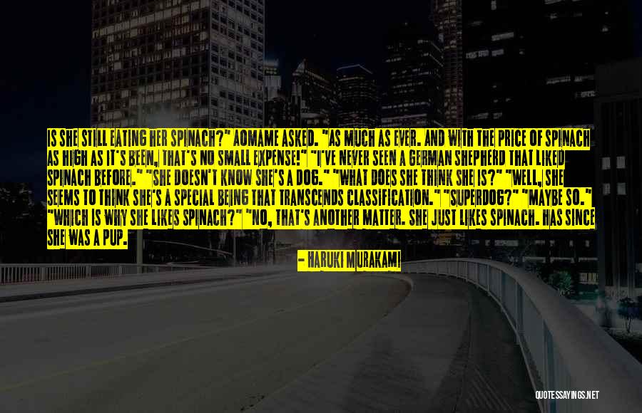 Her Being Special Quotes By Haruki Murakami Her Being Special Quotes By Haruki Murakami