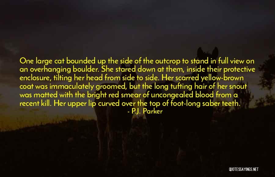 Her Long Hair Quotes By P.J. Parker Her Long Hair Quotes By P.J. Parker