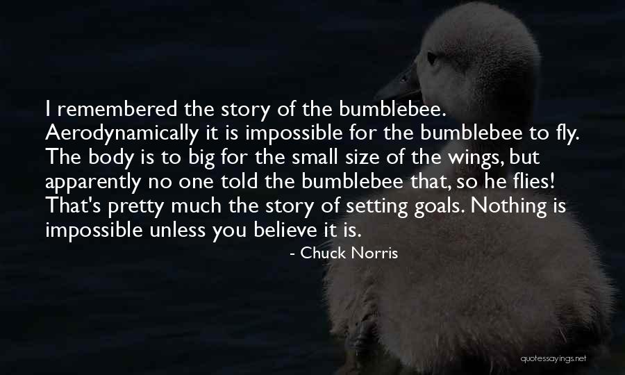 Her Pretty Wings Quotes By Chuck Norris Her Pretty Wings Quotes By Chuck Norris