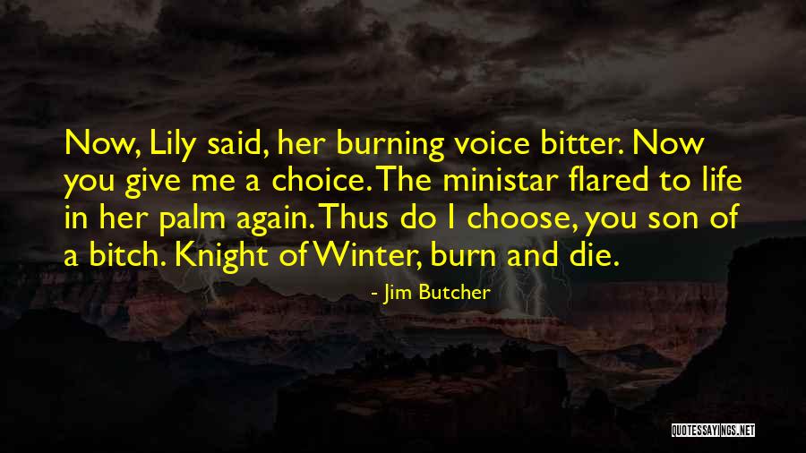 Her Son Quotes By Jim Butcher Her Son Quotes By Jim Butcher