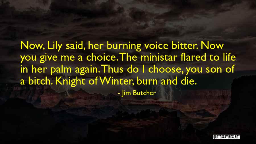 Her Son Quotes By Jim Butcher