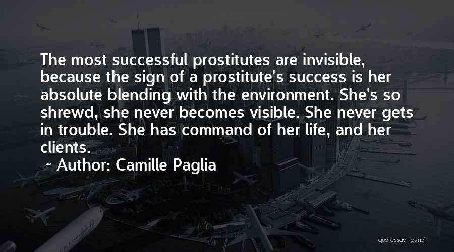 Her Success Quotes By Camille Paglia