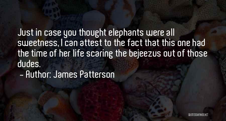 Her Sweetness Quotes By James Patterson
