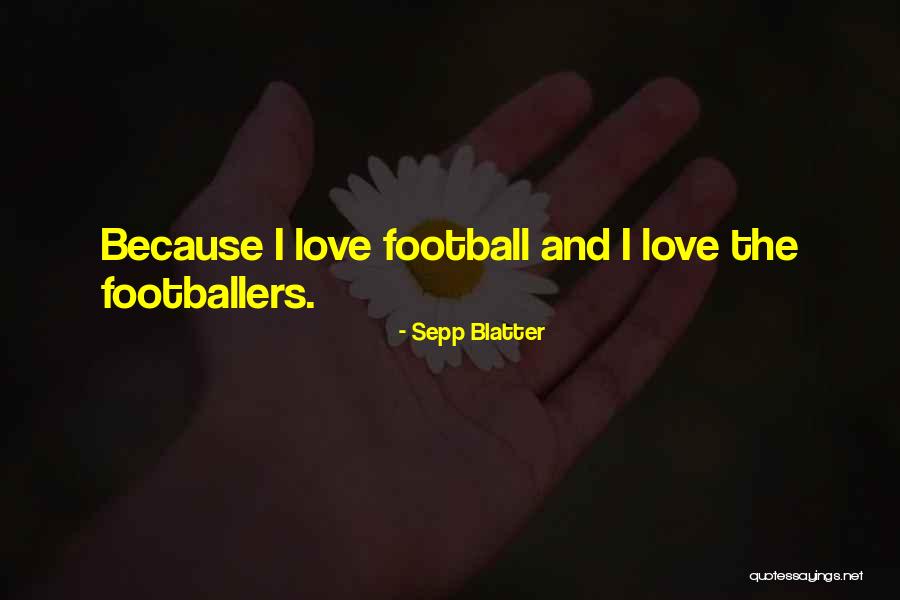 Herault Bezienswaardigheden Quotes By Sepp Blatter Herault Bezienswaardigheden Quotes By Sepp Blatter