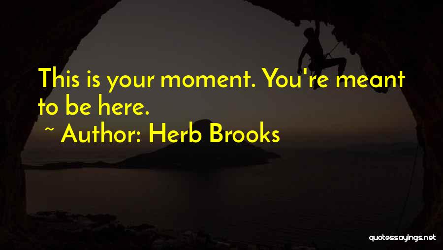 Herb Brooks Quotes 1620941